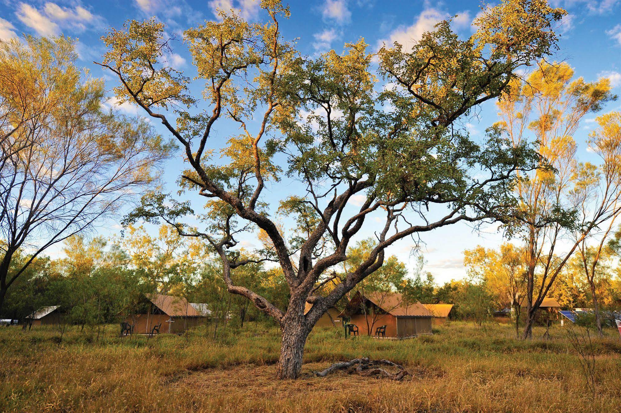 Bungle Bungle Wilderness Lodge Turkey Creek Luaran gambar